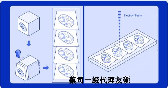 乌兰察布蔡司乌兰察布扫描电镜